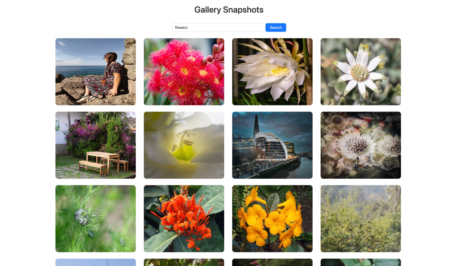Gallery Snapshots - slide 1